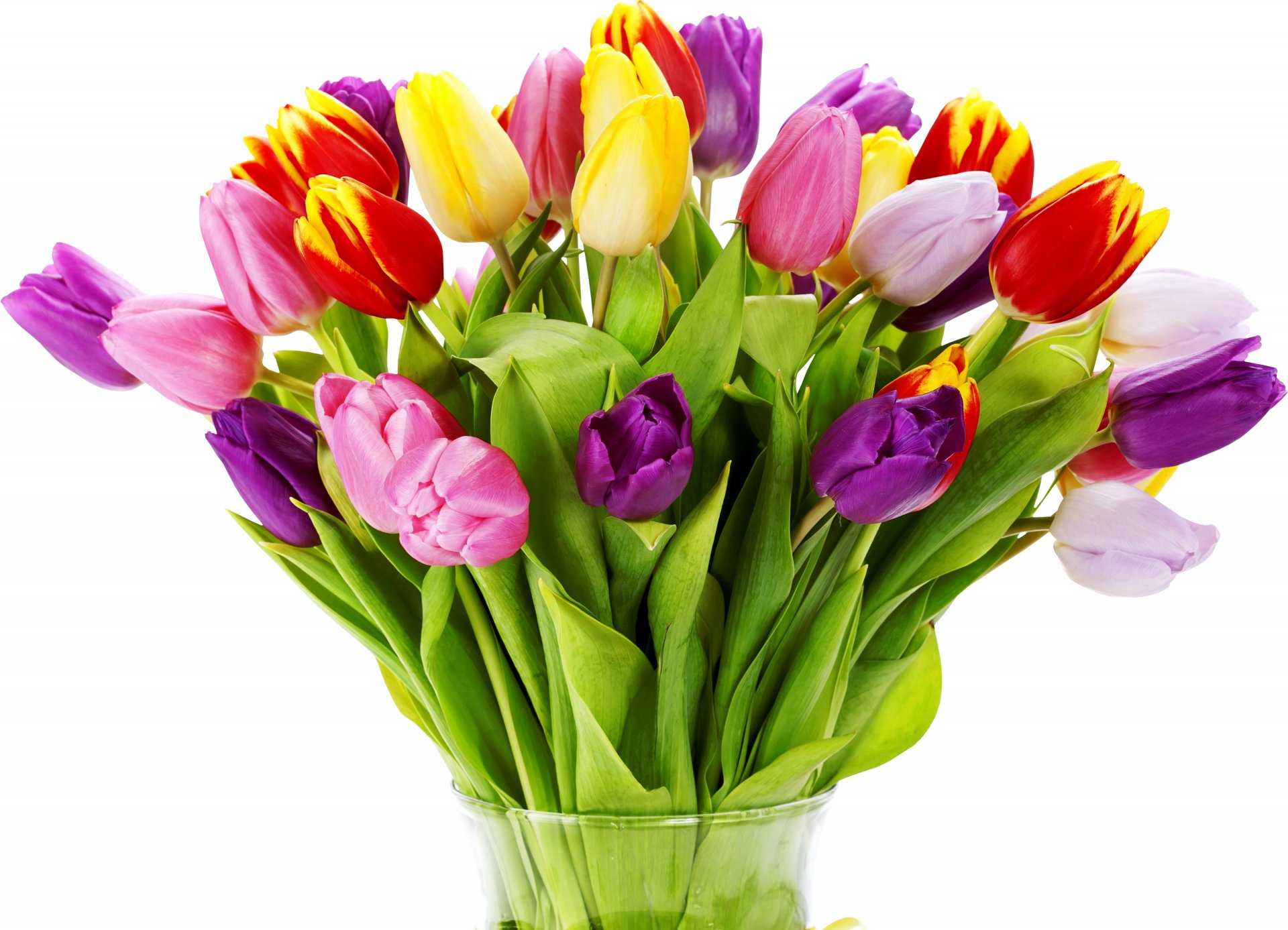 tulipes fleurs fleur printemps nature tulipe bouquet vase