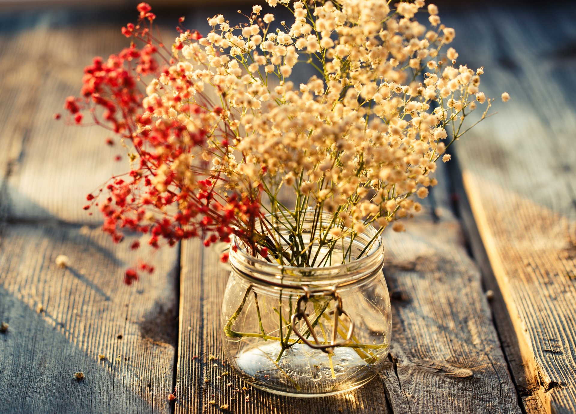 flowers flowers flower plants leaves jar vase vase background wallpaper widescreen fullscreen widescreen widescreen