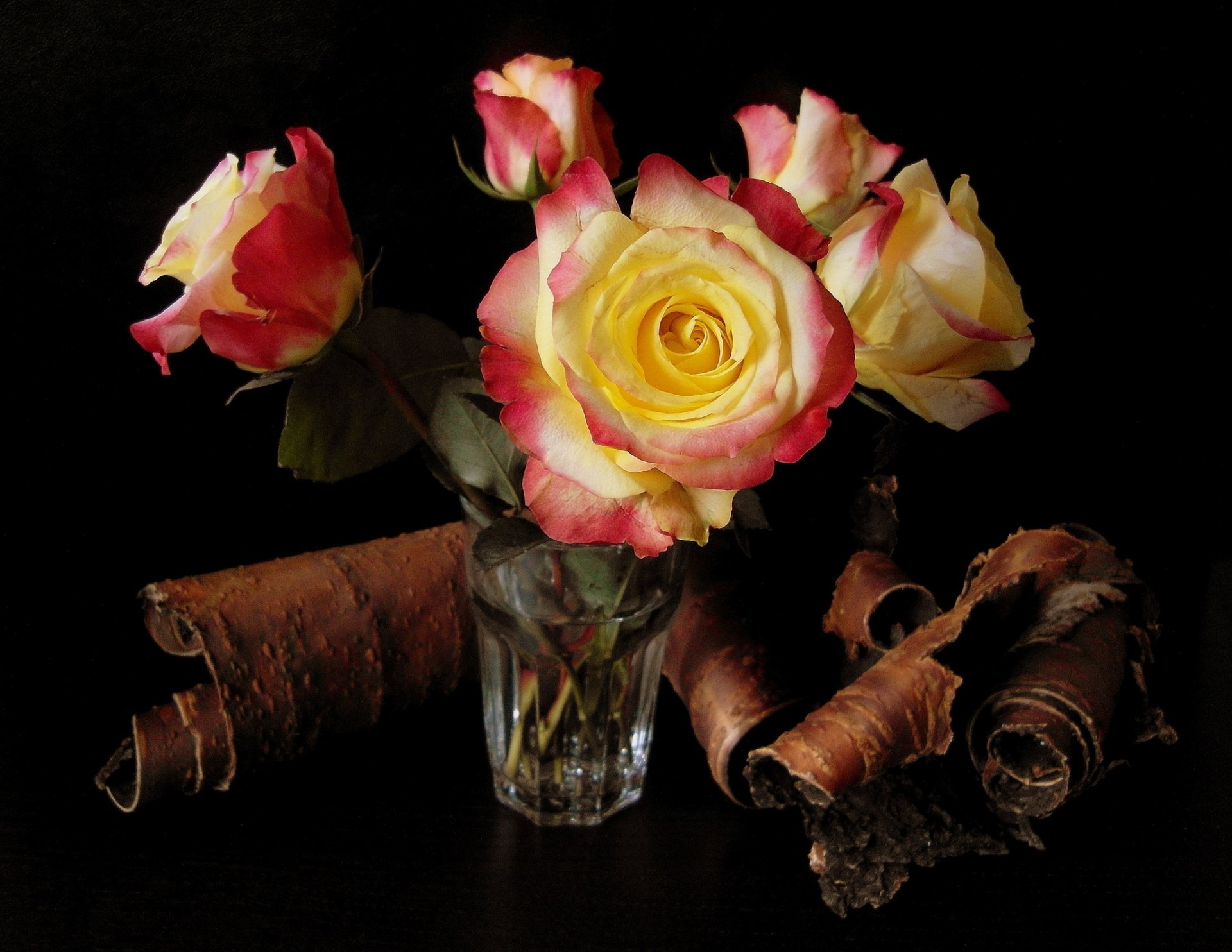 fleurs belle roses fleur bouquet bouleau écorce verre eau