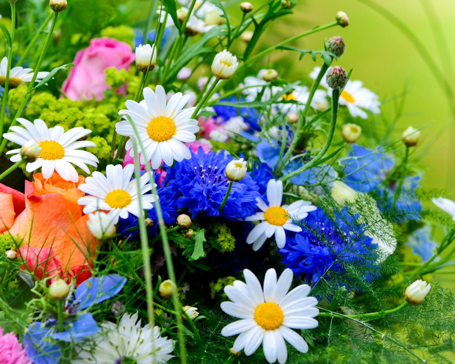 blumenstrauß gänseblümchen rosen kornblumen