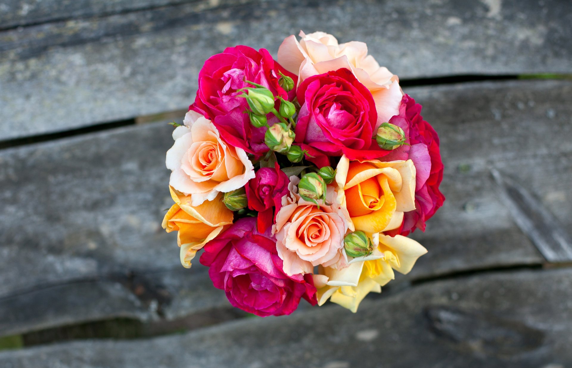 rose bouquet fiori rosa giallo tavole