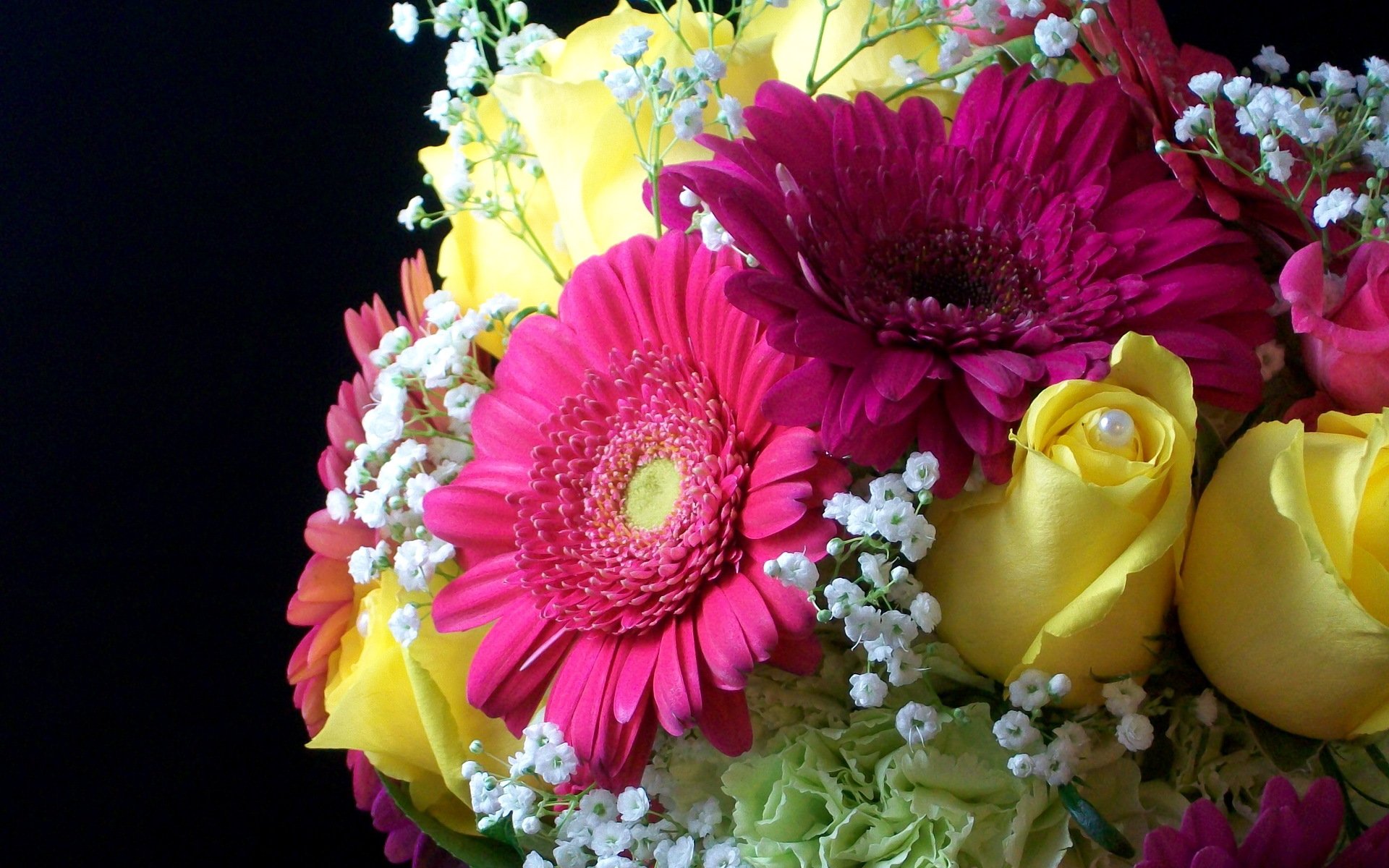 rose bella giallo bouquet fiori fiore gerbera perla perla