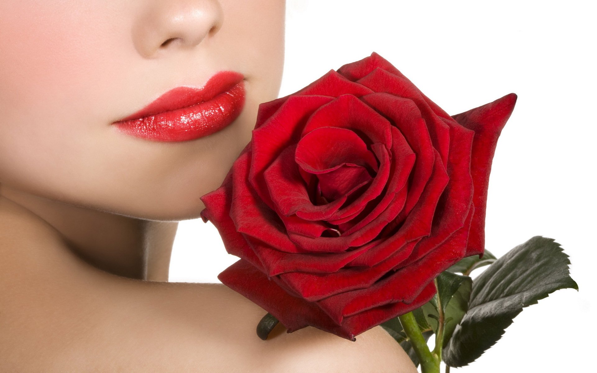 roses red flowers flower girl lip