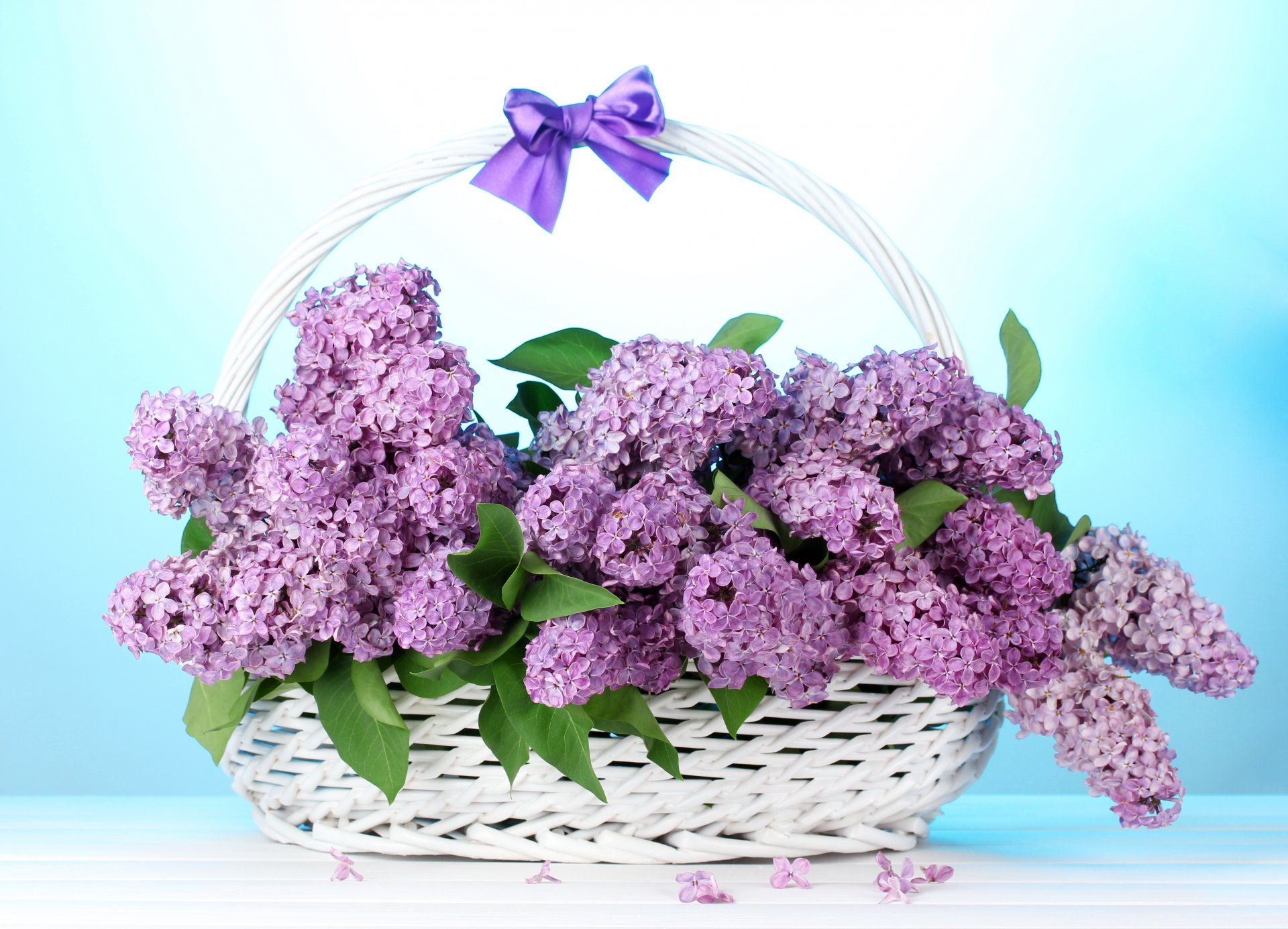 lilas fleurs panier arc bouquet