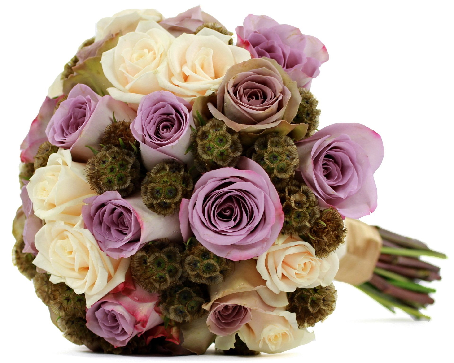 roses blanc lilas fleurs fleur bouquet