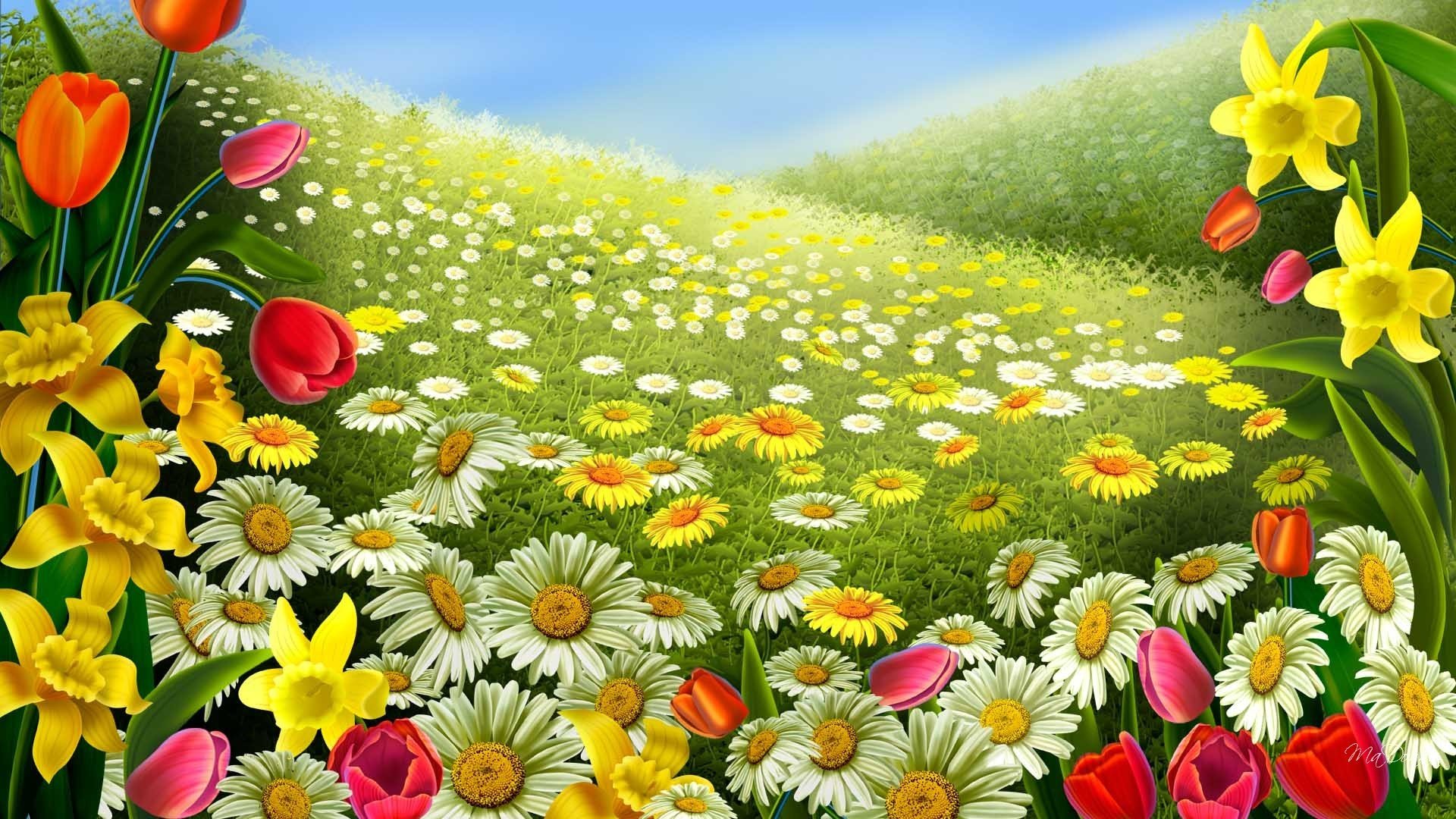 frühling sommer natur himmel blau feld lichtung blumen gänseblümchen