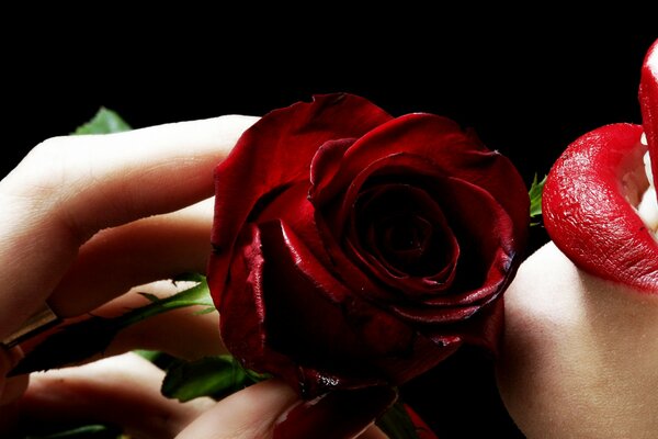 A girl with red lipstick and a rose on a black background