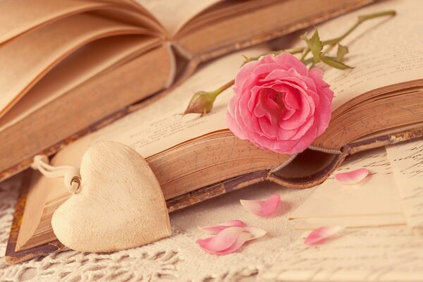 Rose and heart on the background of books