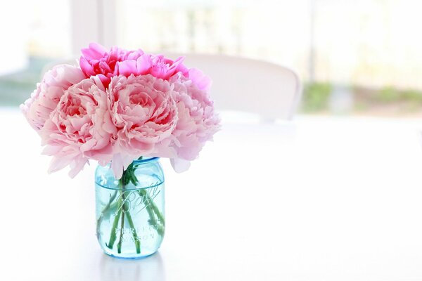 Blooming peonies on a white table