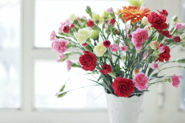 Beaux clous de girofle dans un vase blanc