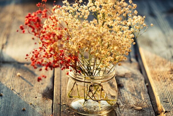 Fleurs séchées dans un pot