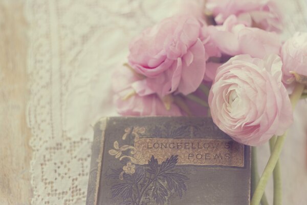 Rosa Butterblumenknospen mit Buch