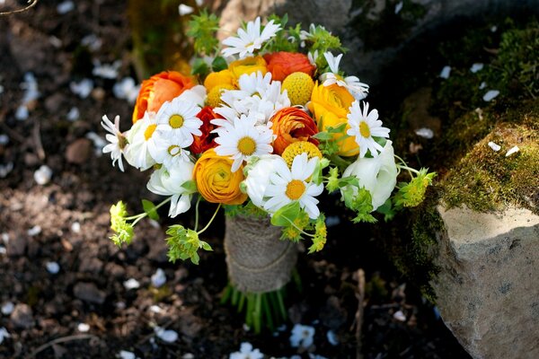 Gros plan de tir d un bouquet de marguerites