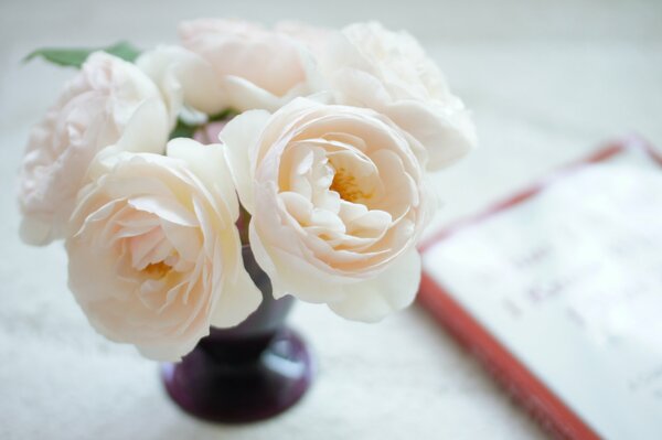 Hermoso ramo de rosas blancas y Rosadas