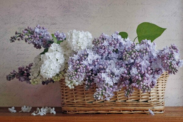 Cesta de Lilas en tonos blancos y morados