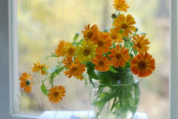 Ringelblume in einem Glas auf dem Tisch