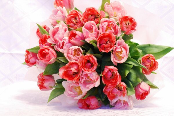 Bouquet of tulips on a light pink background