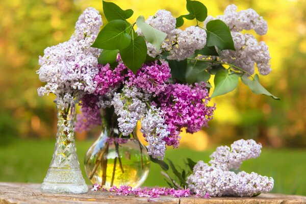 Still life with a bouquet of lilacs in a vase