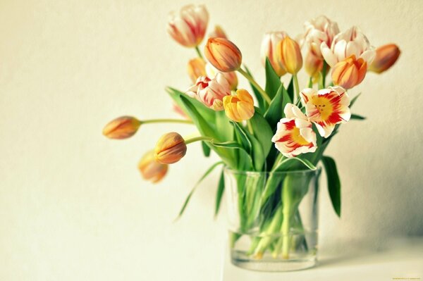 Ein Strauß orangefarbener Tulpen in einer Vase