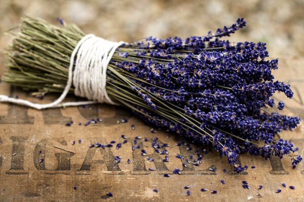 Unusual flowers a bouquet of lavender of a rich purple hue