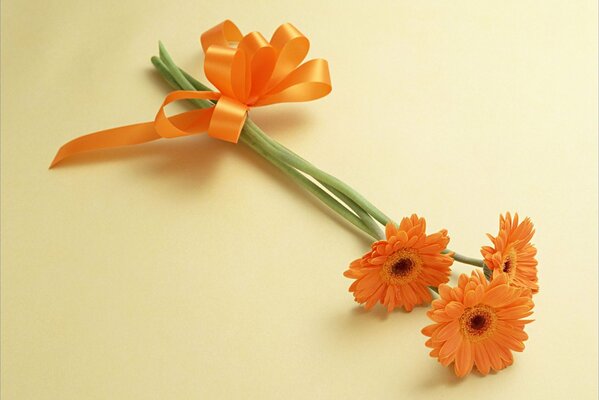 Bouquet of orange gerberas with a bow