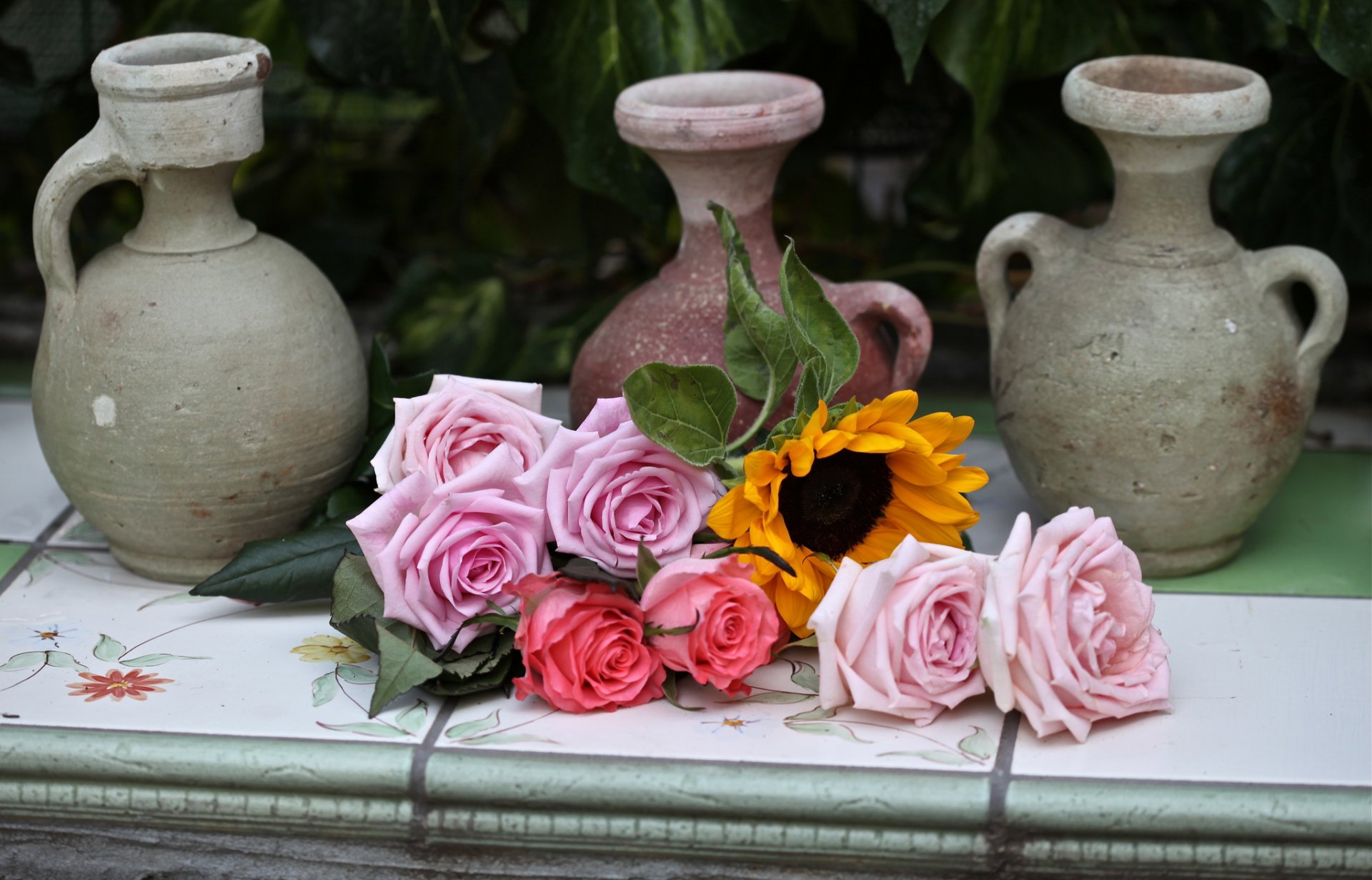 roses tournesols cruches © elena di guardo