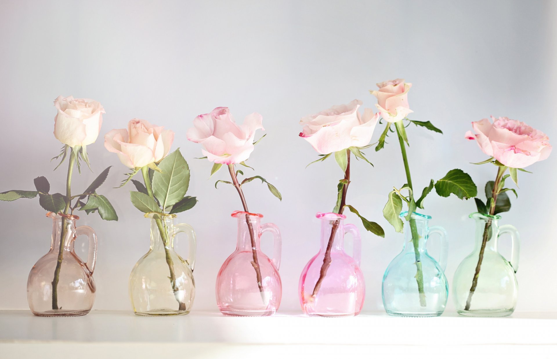 roses bourgeons vases © elena di guardo