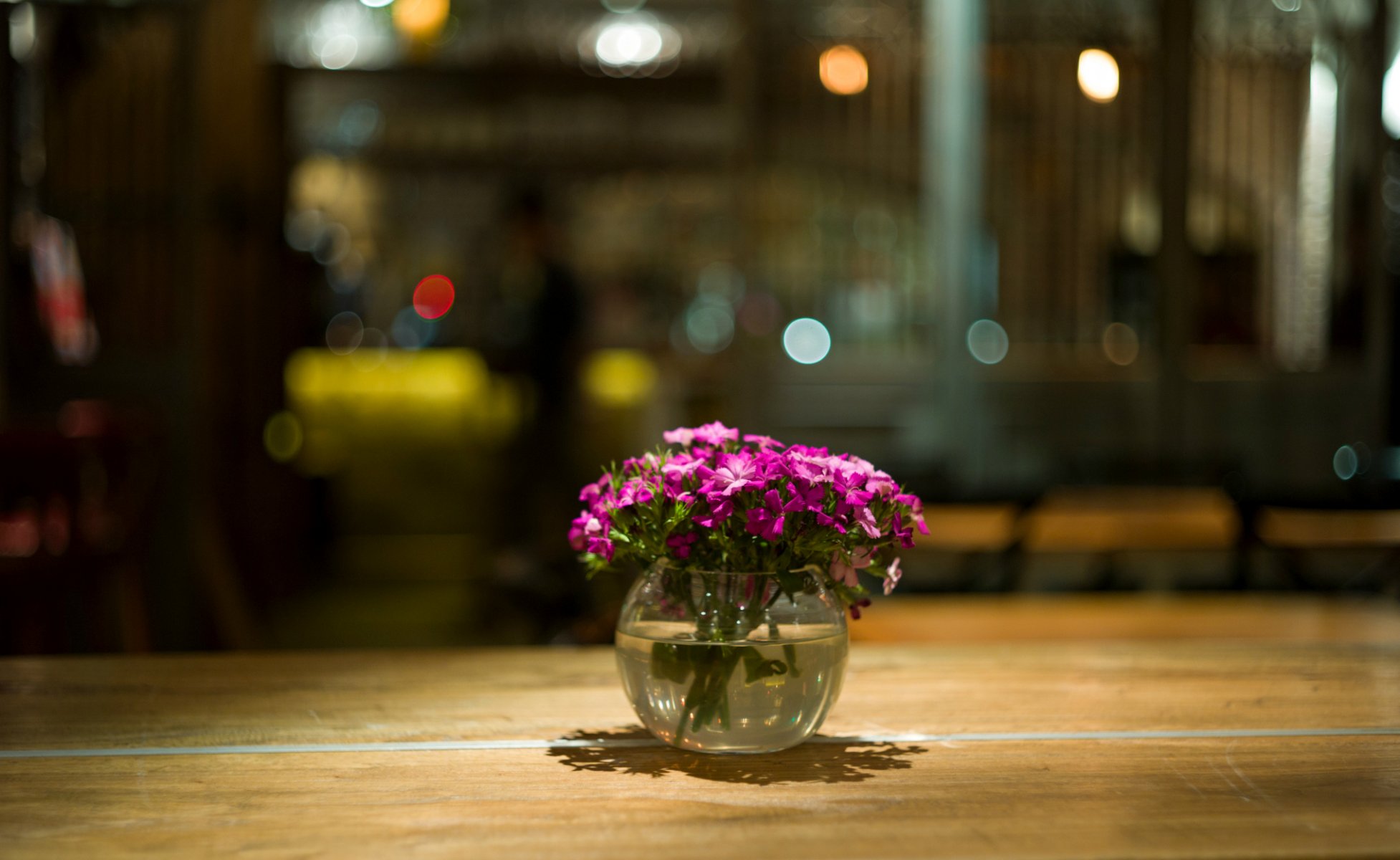 crimson pink petals flower vase table close up reflection