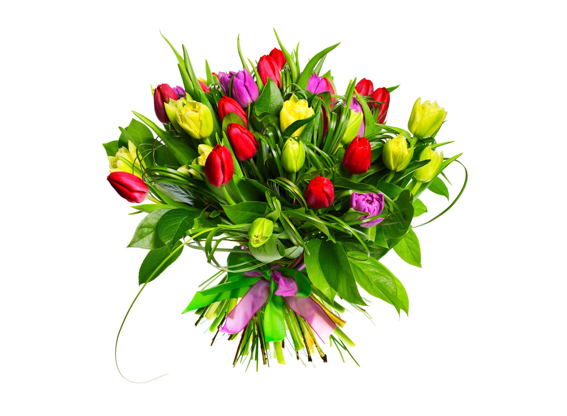 bouquet fleurs tulipes bourgeons