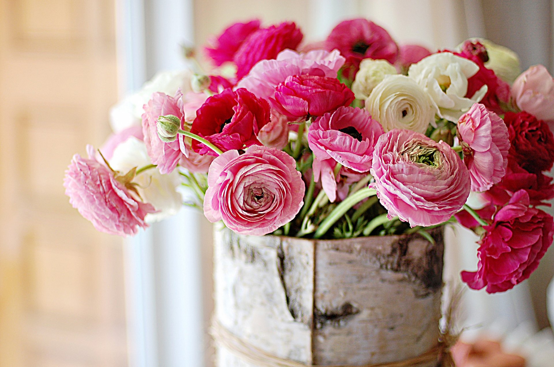 rosa caldo fiore bouquet