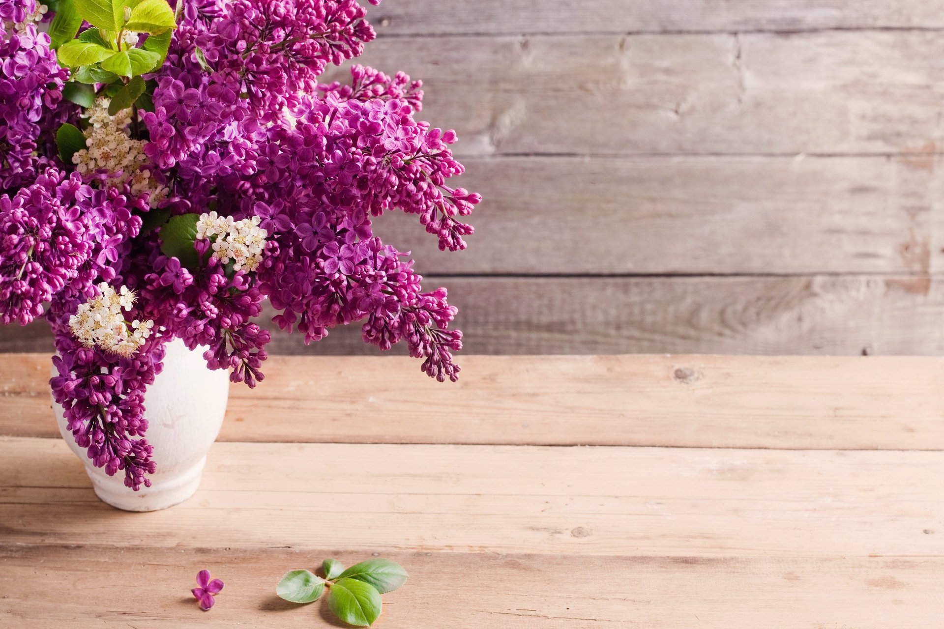 vase bouquet lilac