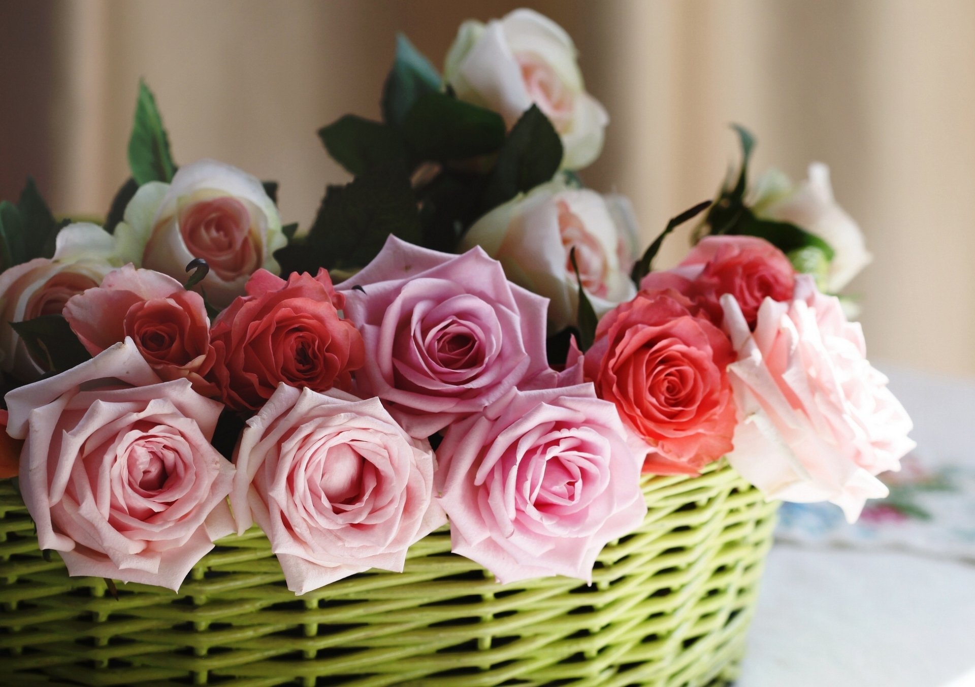 roses bourgeons panier © elena di guardo