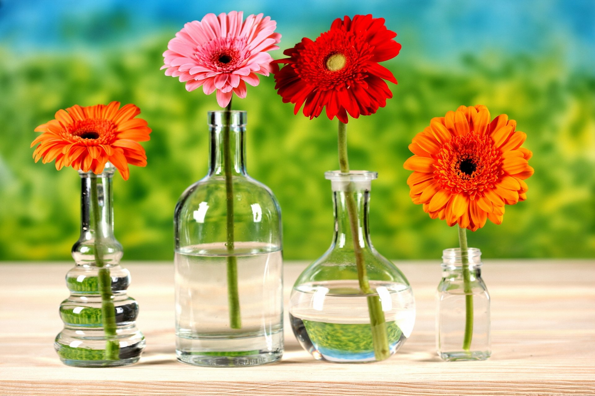 vases bouteille eau table fleurs chrysanthèmes éclat bokeh