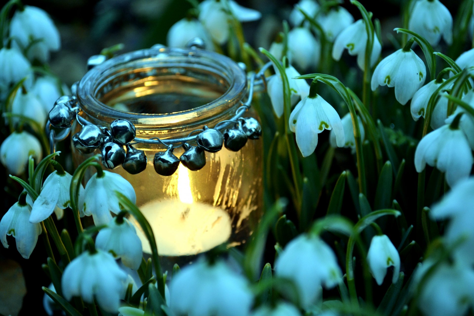 frühling schneeglöckchen glas kerze feuer