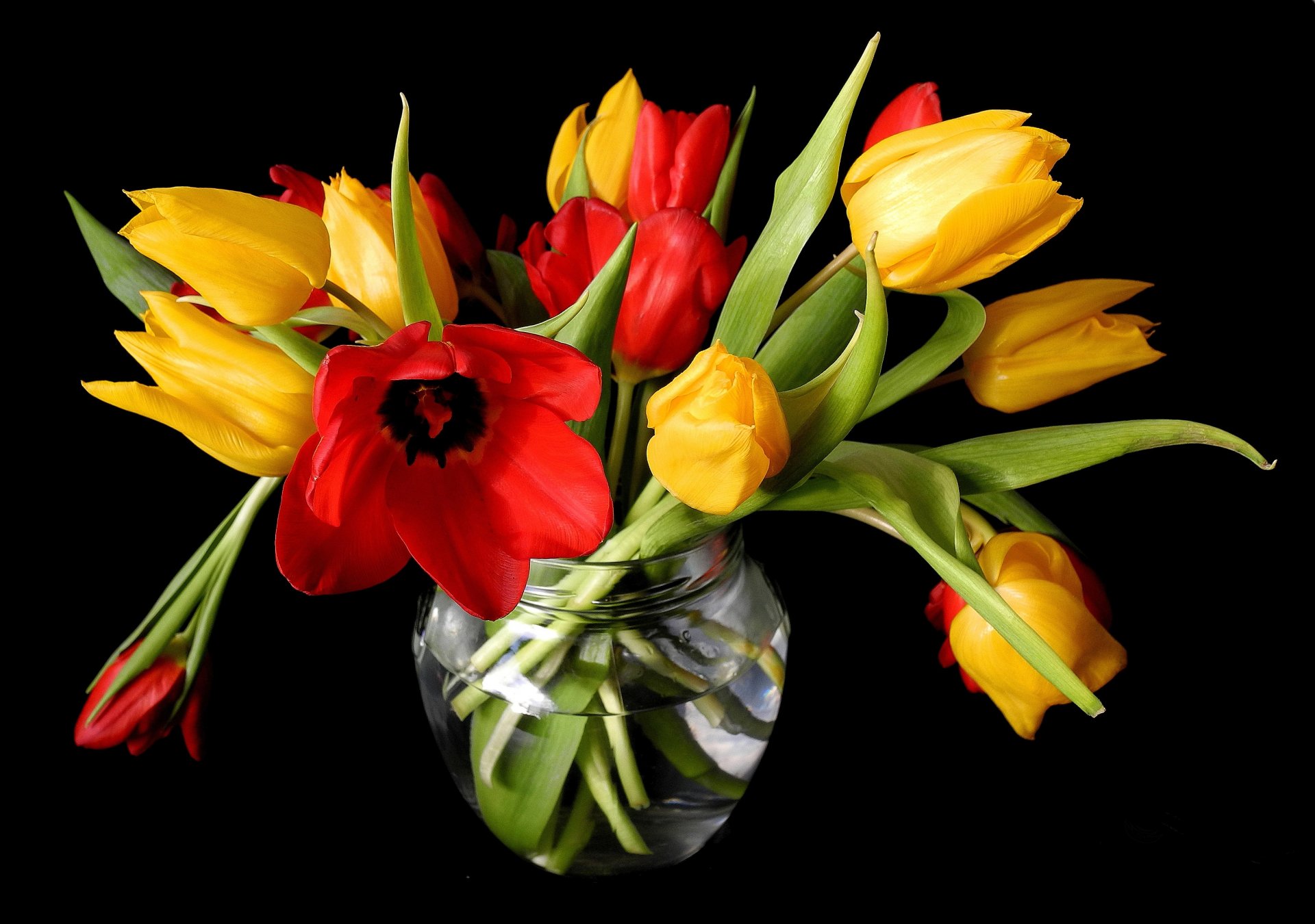 printemps tulipes jaune rouge vase fleurs bourgeons fond noir