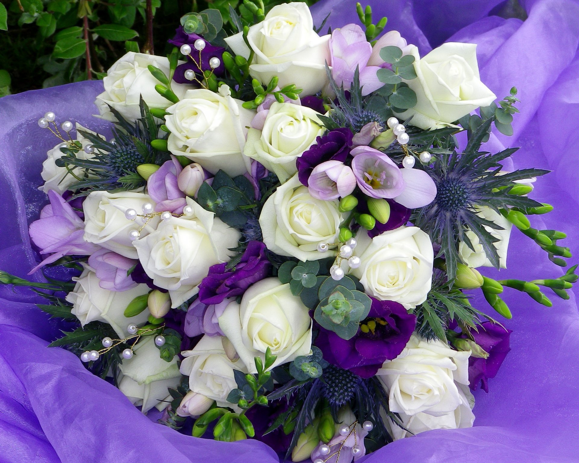 fleurs roses tulipes fleur bouquet perles perles