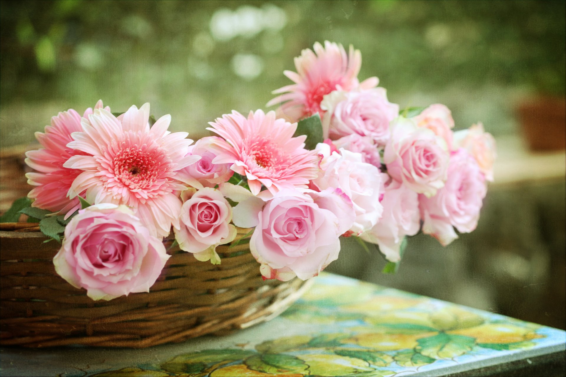 roses gerberas panier © elena di guardo