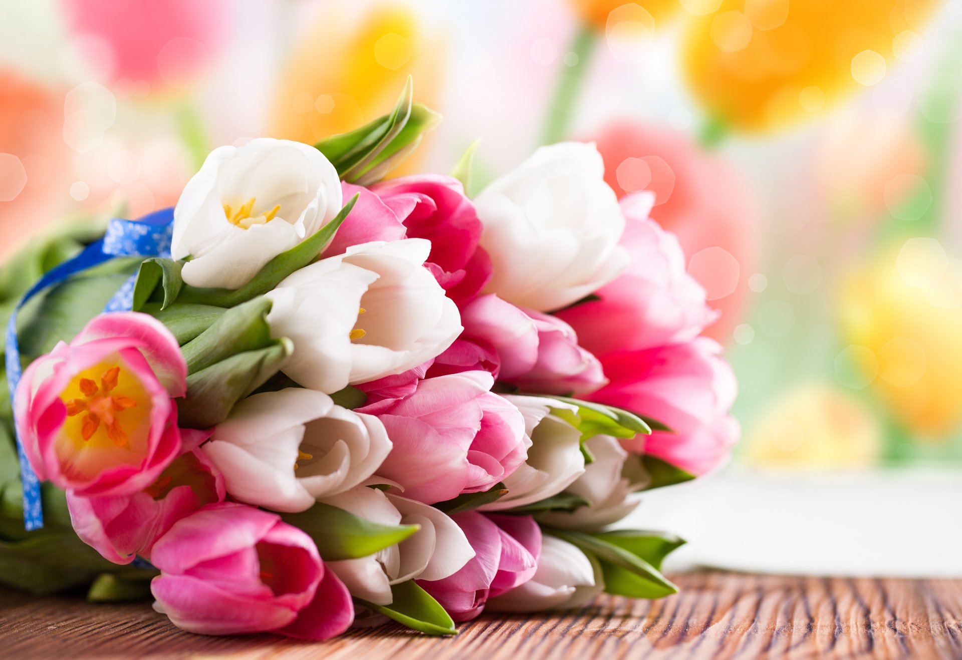 tulipani fiori bianco rosa mazzo primavera