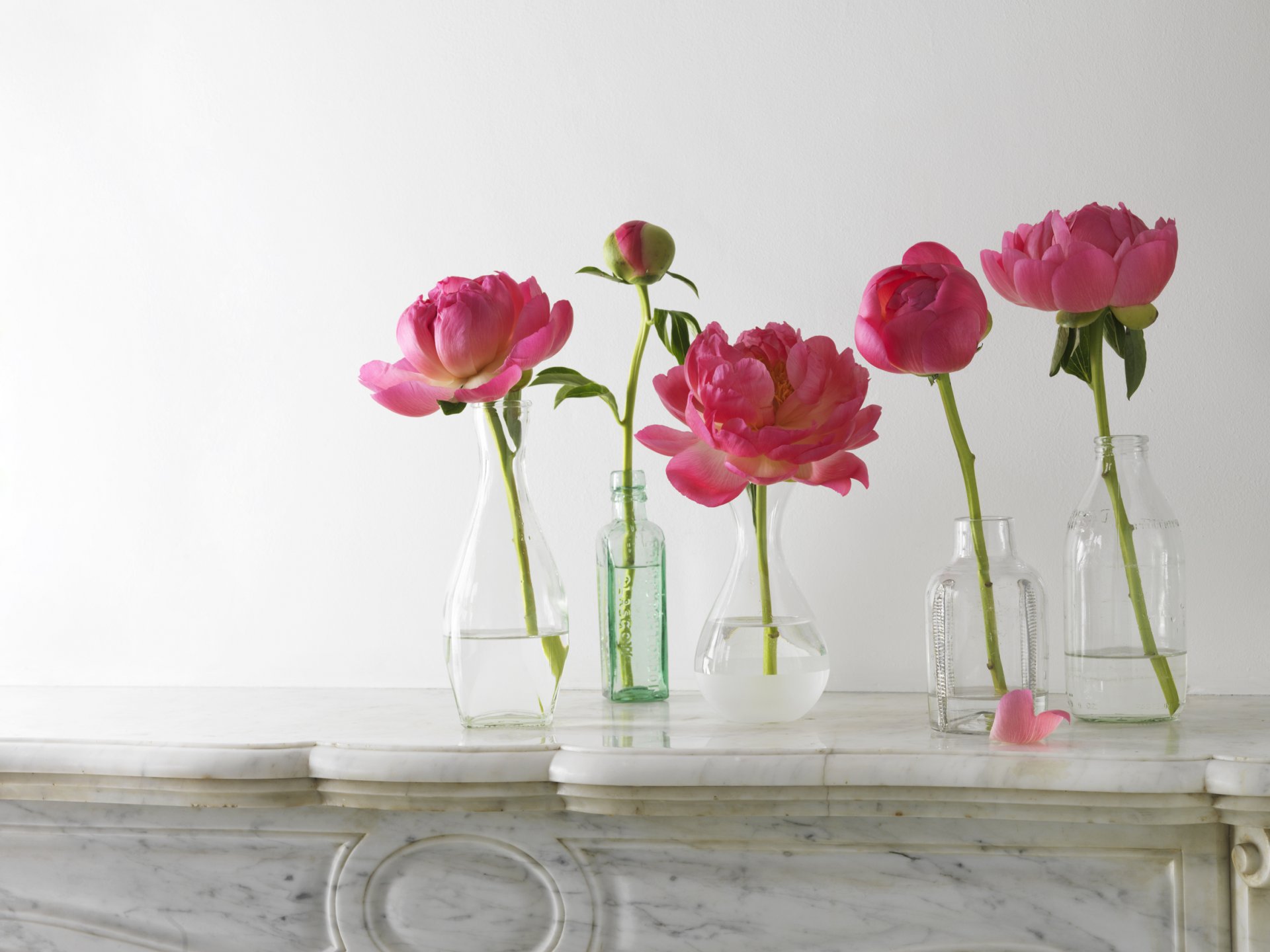 pivoines rose composition bouteilles vases bourgeon pétales tiges