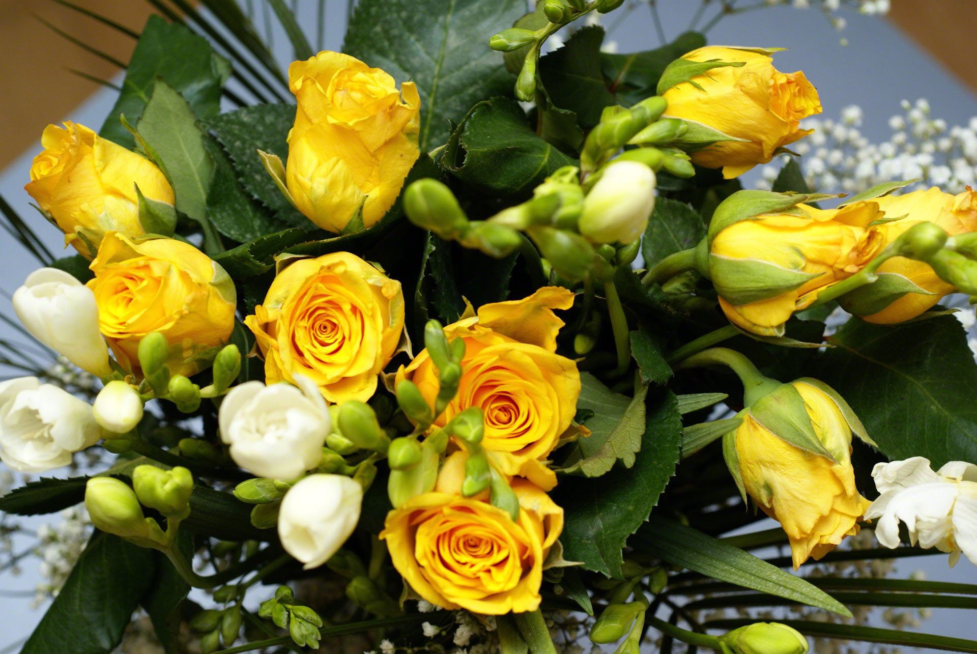 roses jaune fleur fleurs bouquet nature