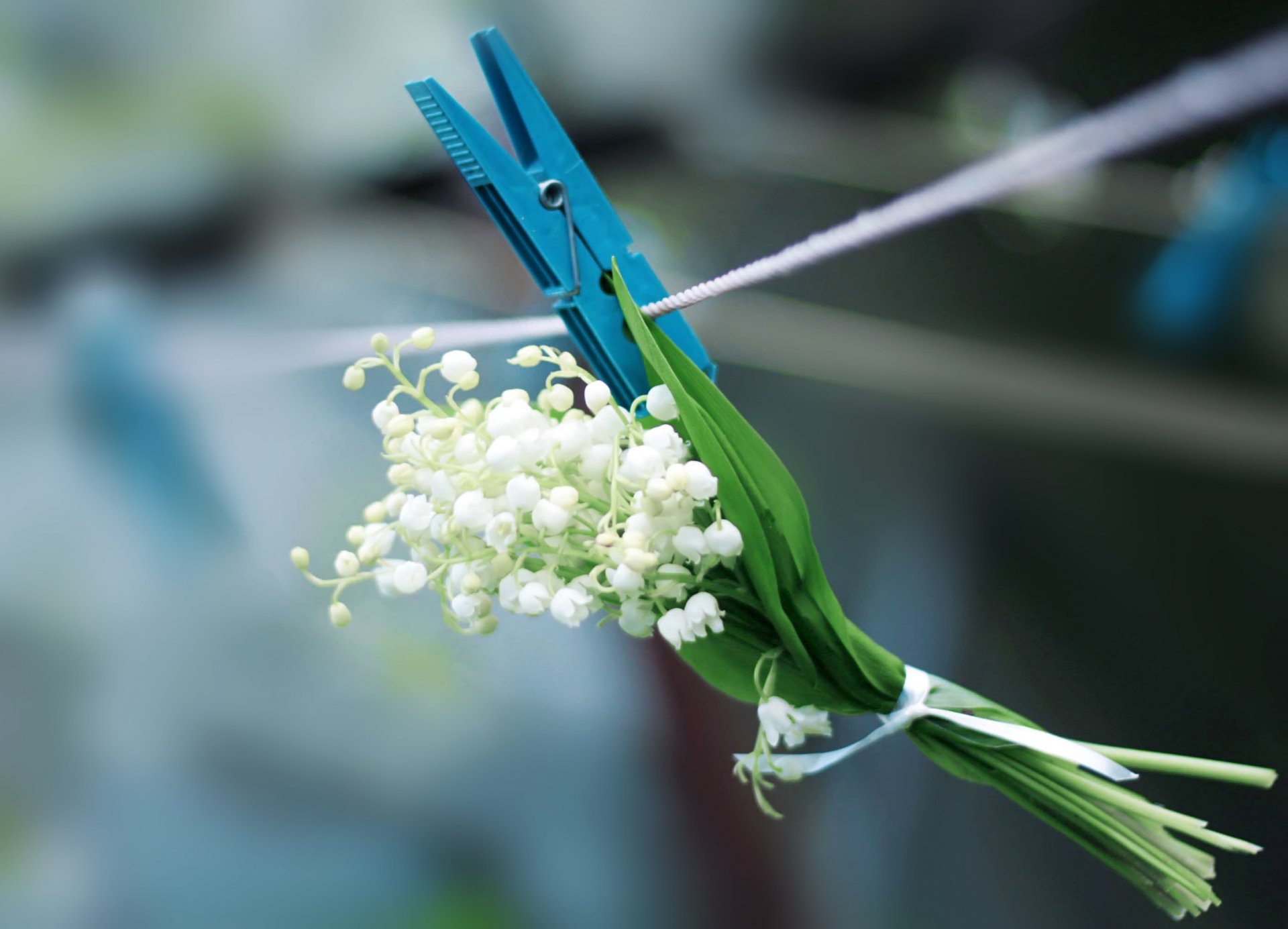 lily of the valley clothespin rope spring white flower blue