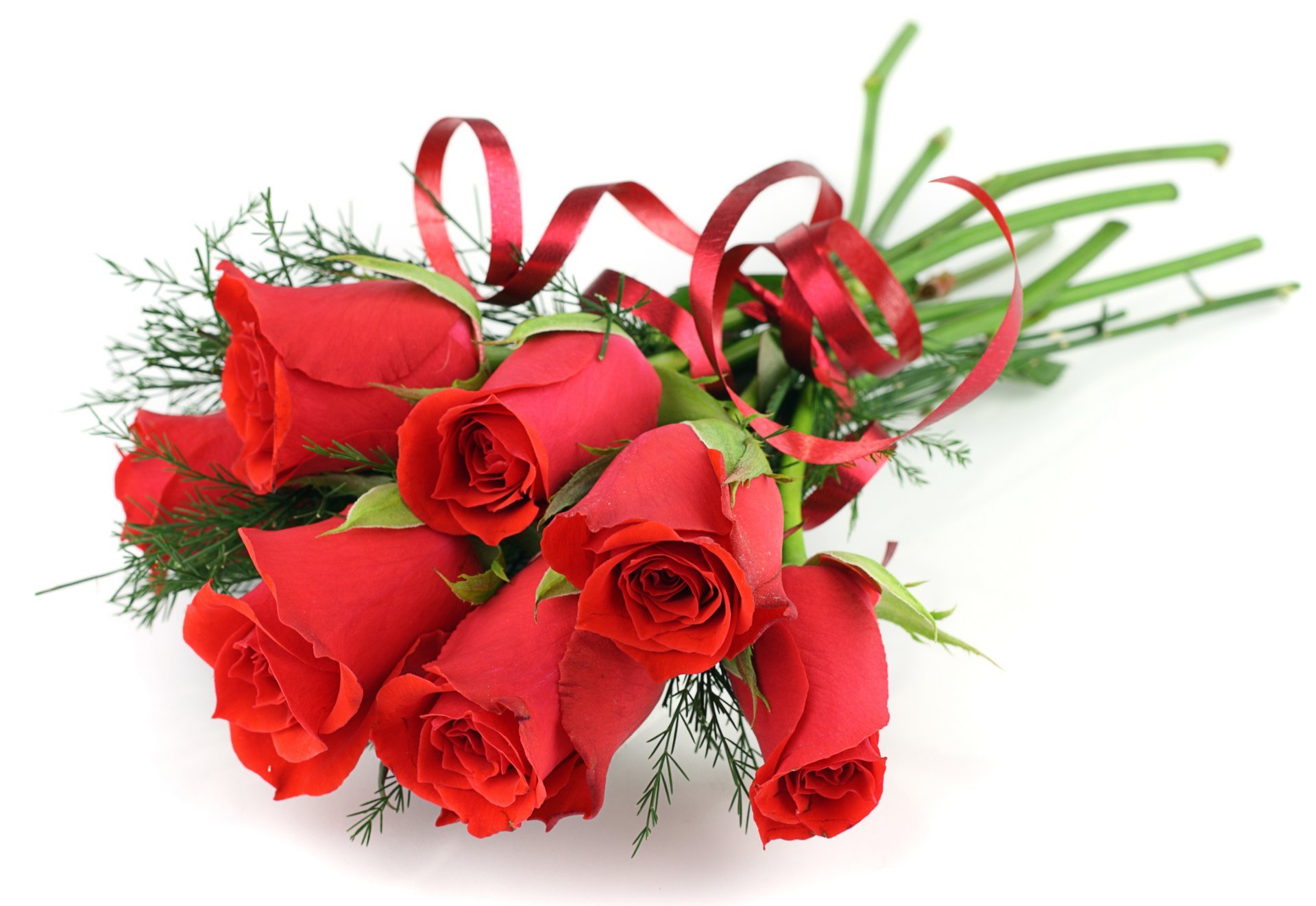 roses rouge bouquet fleurs ruban fond blanc