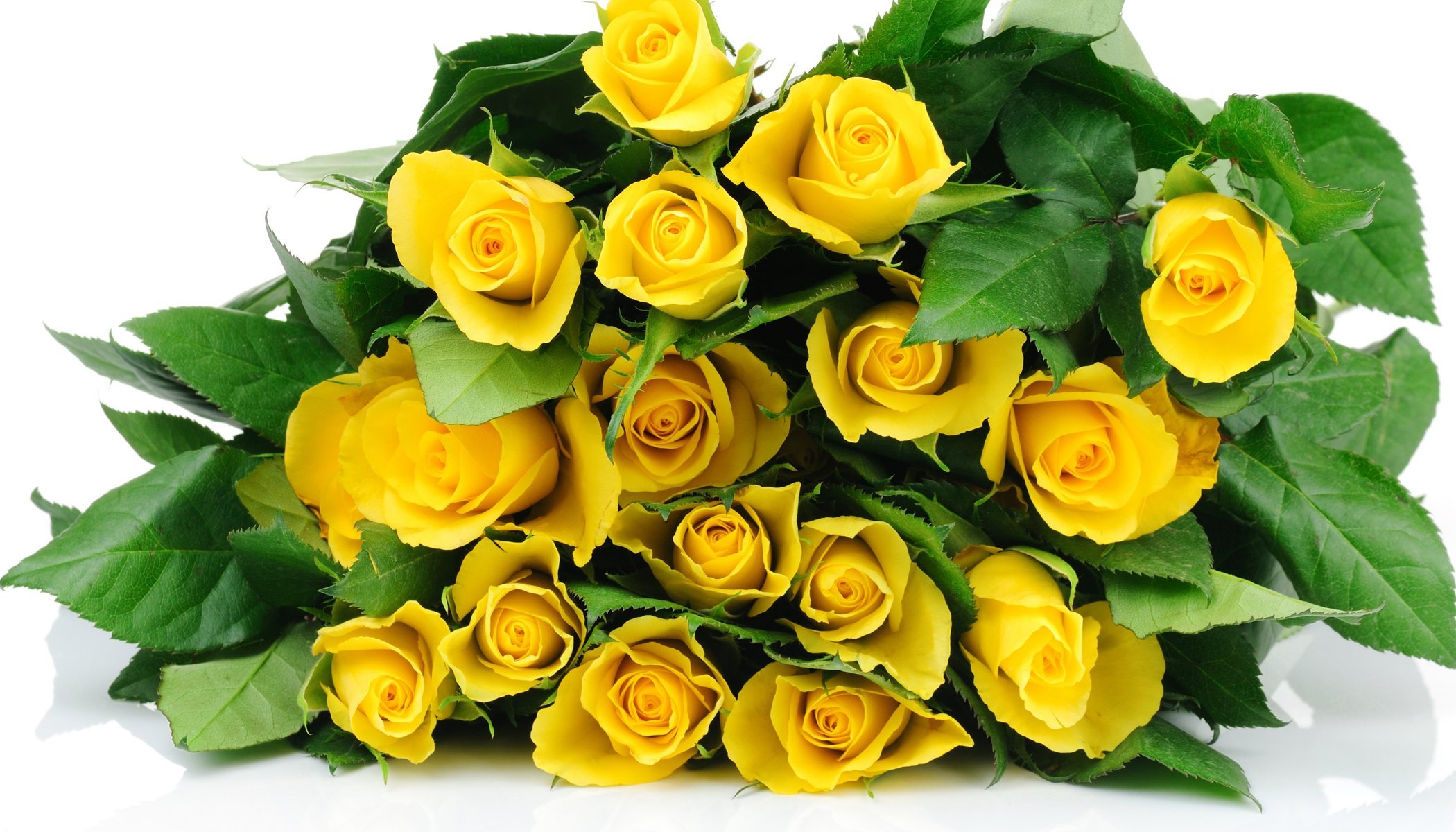 roses jaune bouquet bourgeons feuilles fond blanc