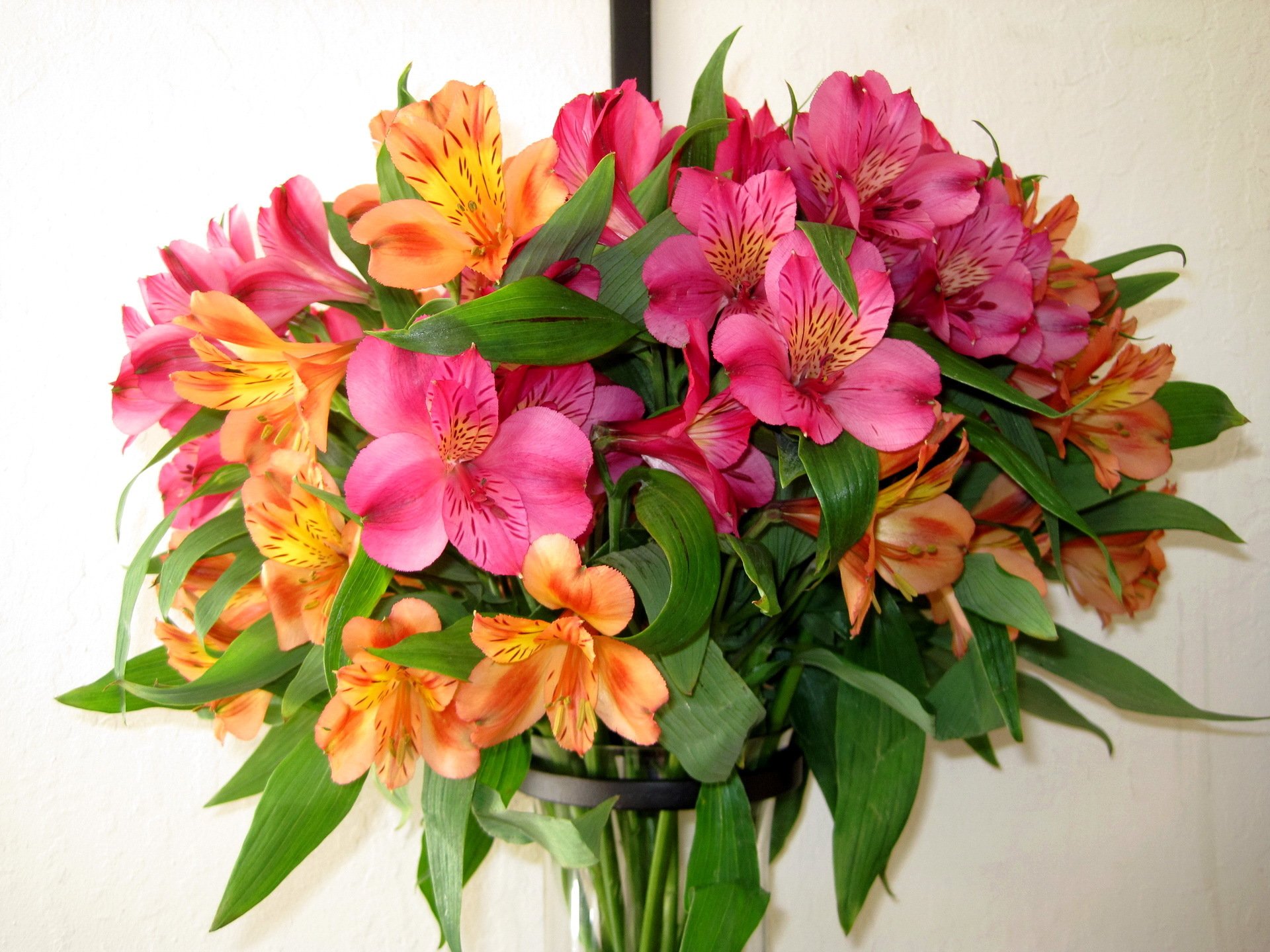 flowers flower bouquet nature alstroemeria alstroemeria