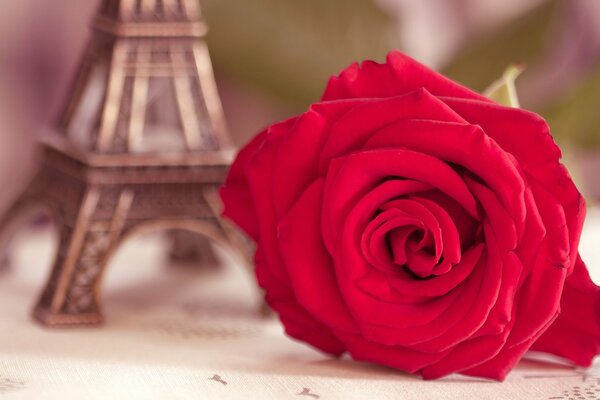 A scarlet rose lies near the Eiffel Tower statuette