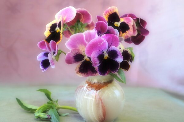 Vaso con un mazzo di viole sul tavolo