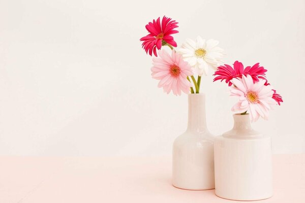 Two bouquets of multicolored Gerberas in white vases