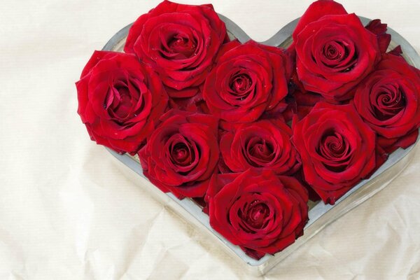 A bouquet of scarlet roses in a heart-shaped gift box on a white background