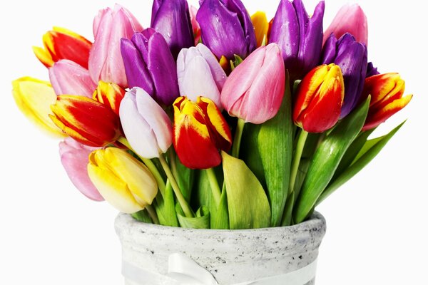 Charmantes Bouquet von Tulpen im Topf