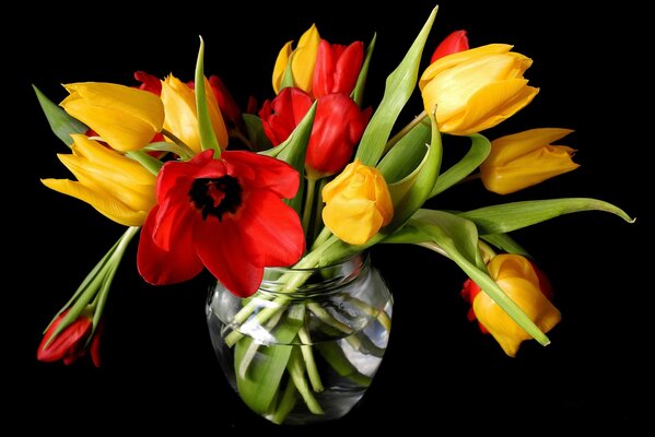 Bouquet of bright tulips on a black background